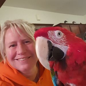 Meet your Posher, Lacy jordan